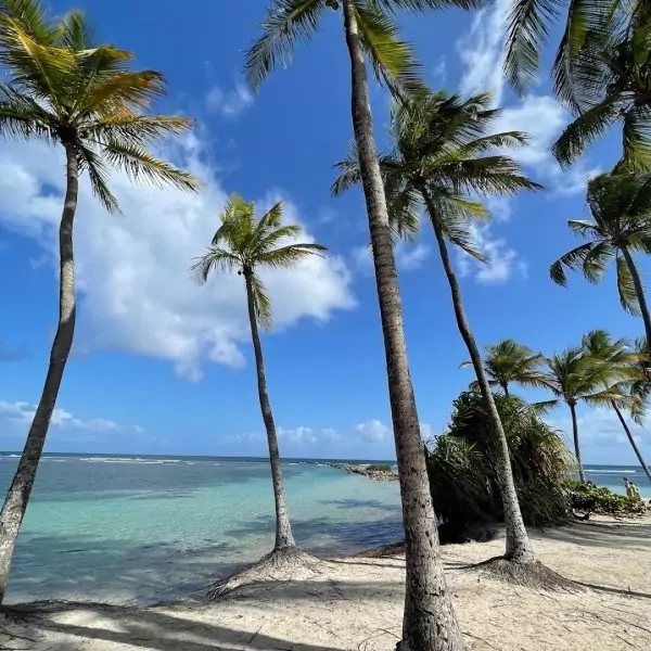 Top 10 des plus belles plages de Guadeloupe