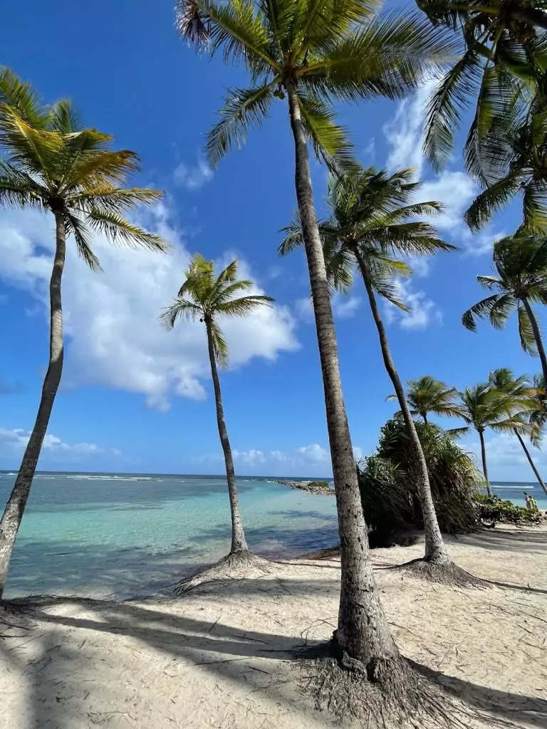 Plage de la Caravelle, belle plage de Guadeloupe