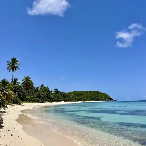 Plage paradisiaque de Marie-Galante