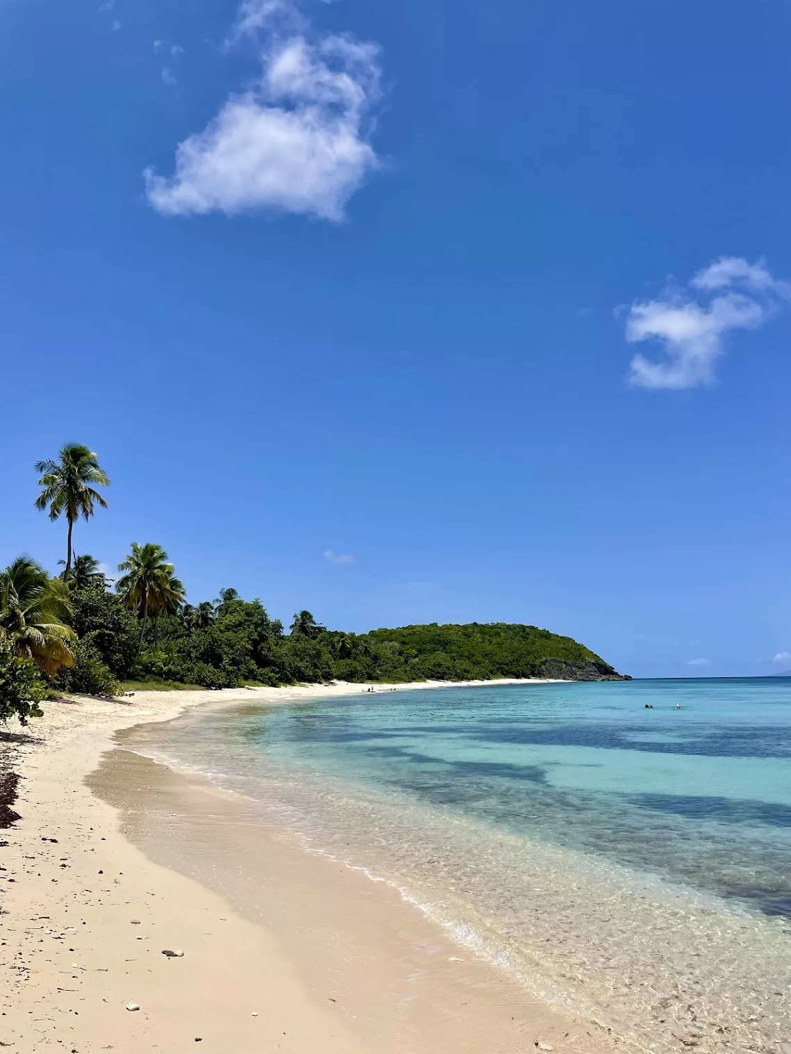 Plage paradisiaque de Marie-Galante