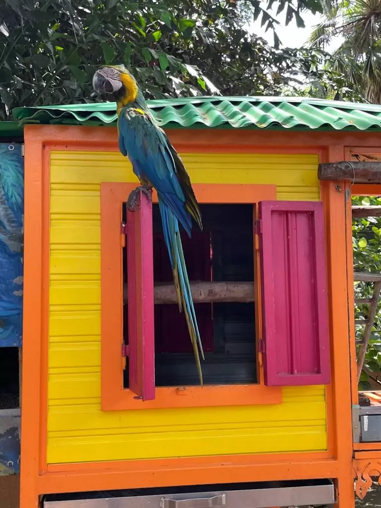 Jardin de Deshaies : itinéraire en Guadeloupe