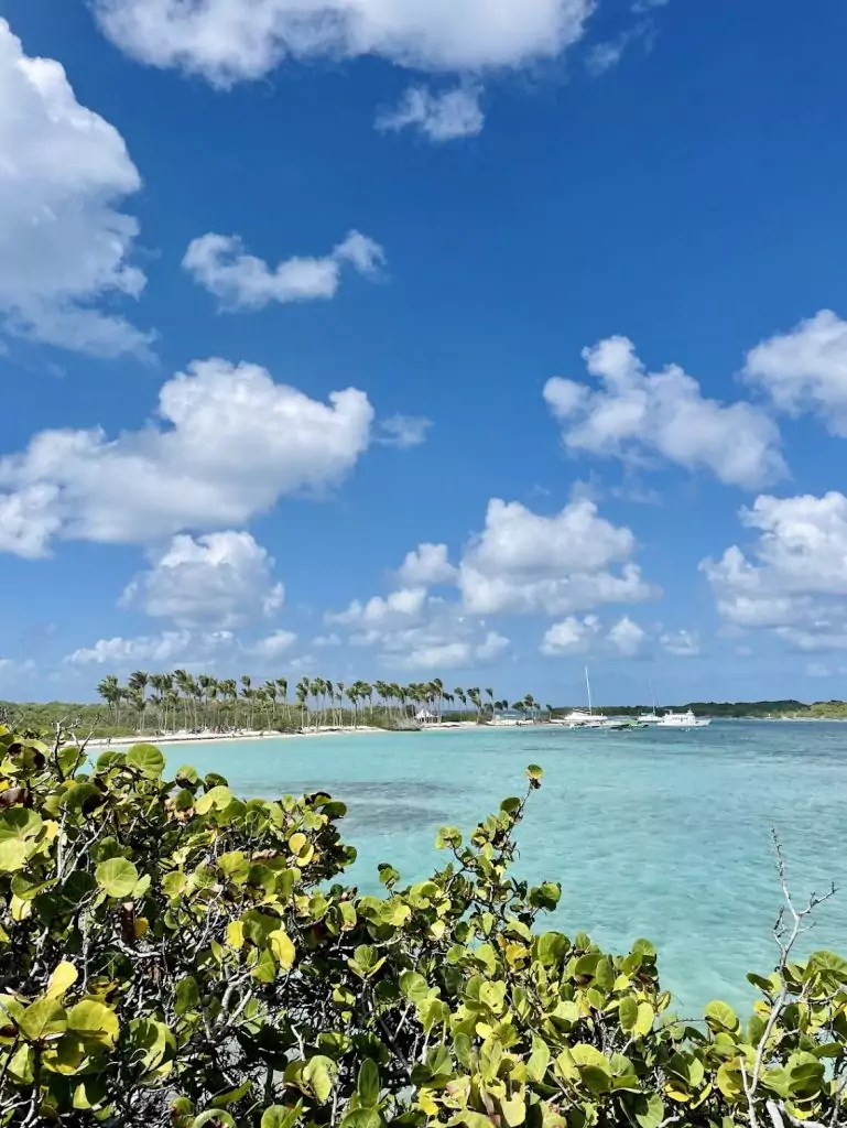 Une journée à Petite Terre lors de votre séjour en Guadeloupe